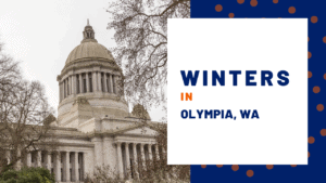 winters in olympia